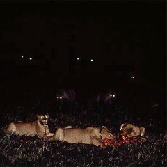 Гагаш Бакинский, 18.07.1997