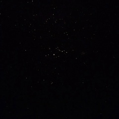 Олег Рубцов, Ош