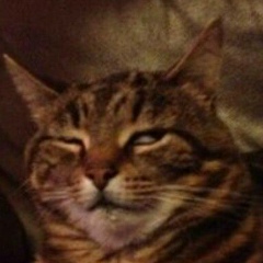 Джохар Саралиев, 22.08.1997, Аргун