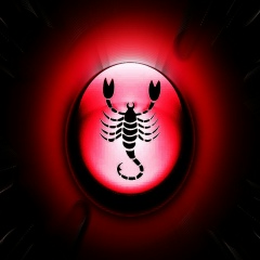 Александр Жидков, 21.11.1987, Казань