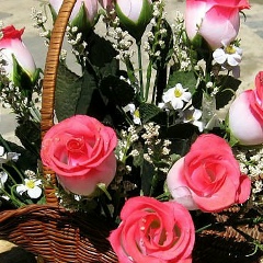 Дина Карданова, 09.11, Черкесск