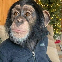 Оганес Айрапетян, 08.12.1987, Москва