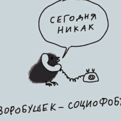 Александр Воробьев, 14.06, Санкт-Петербург