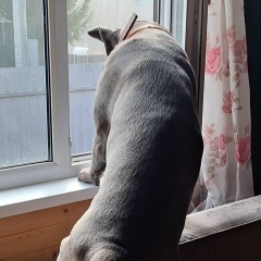 Вероника Парфенцова, 24.11, Орехово-Зуево