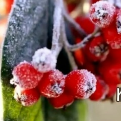 Екатерина Екатерина, 28.02.1990, Уссурийск