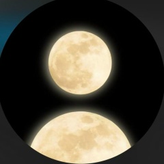 Елена Сметанина, 05.12