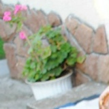 Тарас Мельник, 22.12.1988, Тернополь