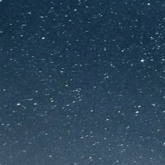 Алексей Трофимов