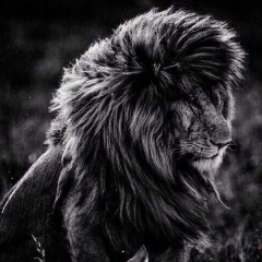 Никита Коваленко, 07.02.1993, Нальчик