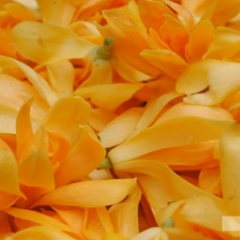 စံ ကား၀ါ, 31.05.1986, Mawlamyine