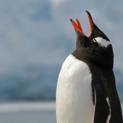 Дмитрий Зернов, 22.09.1902, Якутск