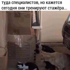 Света Славинская, 19.10