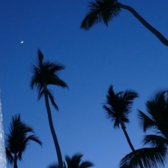 Malachihan Ursilov, 23.01