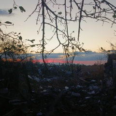 Александр Барузо, Санкт-Петербург