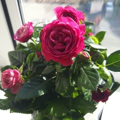 Анар Карманова, 01.04, Астана