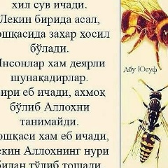 Улугбек Ахмадалиев, 28.02.1990, Москва