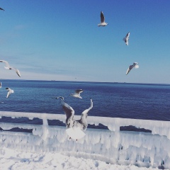 Ксюша Чоповенко, 08.05, Одесса