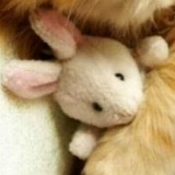 Василиса Серебрякова