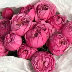 Алия Ахметова, 26.09