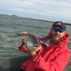 Александр Пустовалов