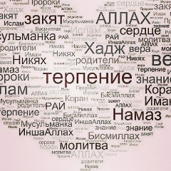 Мадина Мадаева