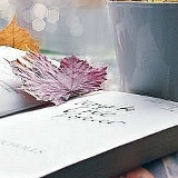 Дарья Козлова, 24.12, Москва