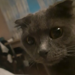 Yeva-Jane Rusk, Усть-Каменогорск