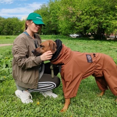 Любовь Малахова, Самара