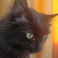 Максим Федоров, 18.11.1983, Санкт-Петербург