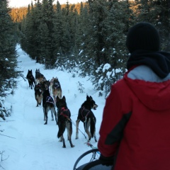 Сакен Ист, 22.11, Urbana