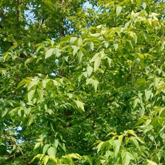 Александр Дроздов, 07.05.1982, Москва