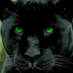 Хизриева Багдат, 14.04.1976, Кизилюрт