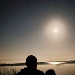 Вадим Аюпов, 20.05, Ростов