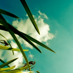 Светлана Микерина, 02.08, Москва