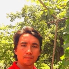 Али Шамим, 01.04.1986, Белгород