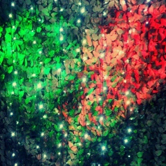 Анатолий Черный, 04.10