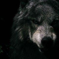 Марат Хурамшин, 22.11, Ижевск