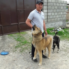 Дастан Кудайбердиев, 31.03.1990, Москва