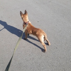 Dias Bagitov, 19.06.1989, Атырау