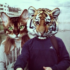 Роман Романов, Калининград