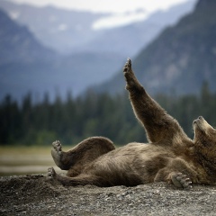 Иван Чагелишвили, 15.02.1989, Москва