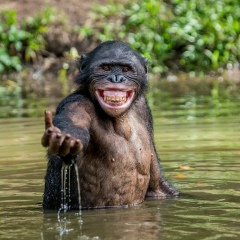 Руслан Русланов, 08.06.1980, Махачкала