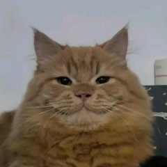 Aleksandr Aleksandrov, 23.06, Москва