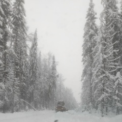 Алексей Алёхин