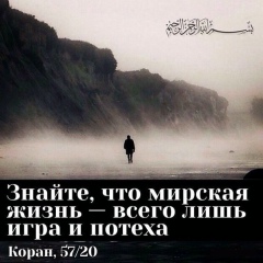 Рустам Кадыров, Санкт-Петербург