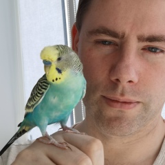 Виктор Атрахимёнок, 19.05.1985, Санкт-Петербург