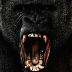 Adam Baymurzaev, 28.04.1989, Грозный