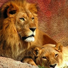 Алина Акопян, 29.04, Москва