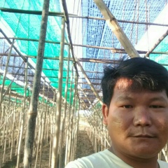 Than Myo, 01.02.1985