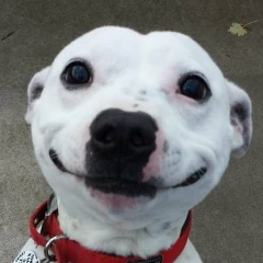 Антон Монствилас, 09.06, Анадырь